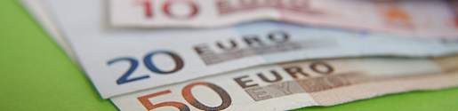 versicherung-hund-haftpflicht-geld-gross