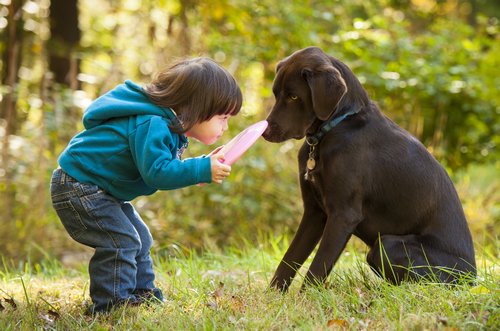 Kind spielt mit Hund Frisbee