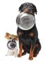 Nassfutter für Hunde im Test 2015