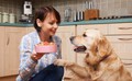 Frau füttert Hund