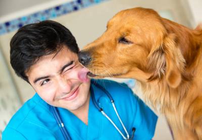 Hund leckt Tierarzt ab