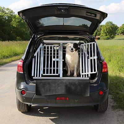 Hund in Auto-Hundebox für Transport
