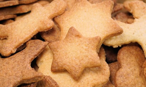 Winter-Hundeplätzchen für Weihnachten