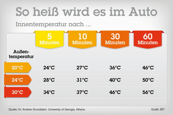 niemals den hund im auto lassen grafik bft2018