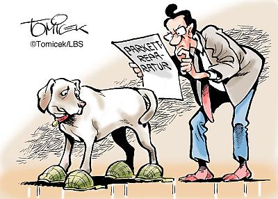 lbs-cartoon-hundekratzer-parkett-400px