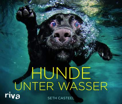 hunde-unter-wasser-Cover