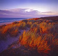 strand in dänemark